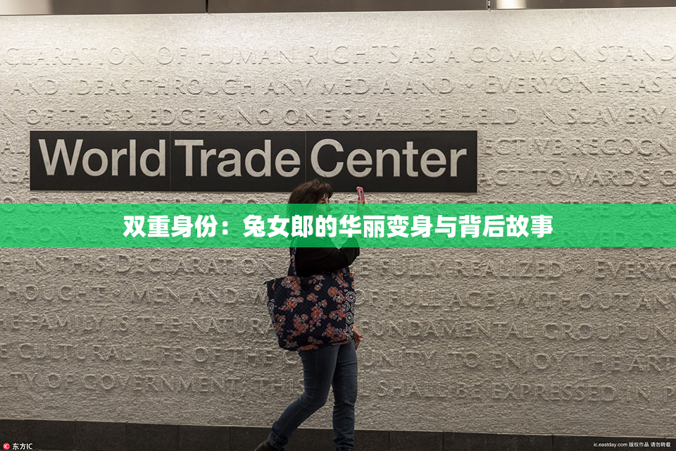 双重身份：兔女郎的华丽变身与背后故事