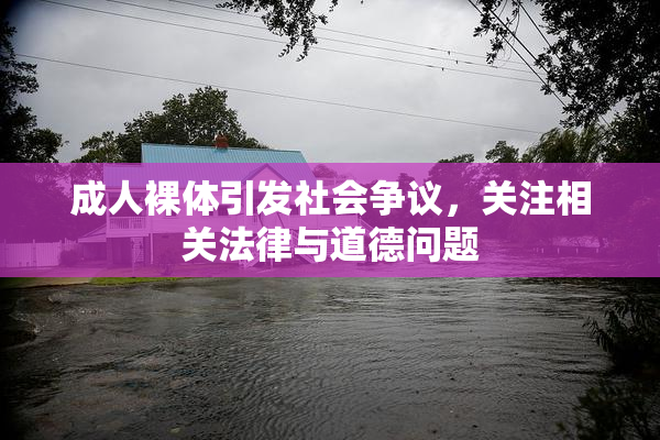 成人裸体引发社会争议，关注相关法律与道德问题