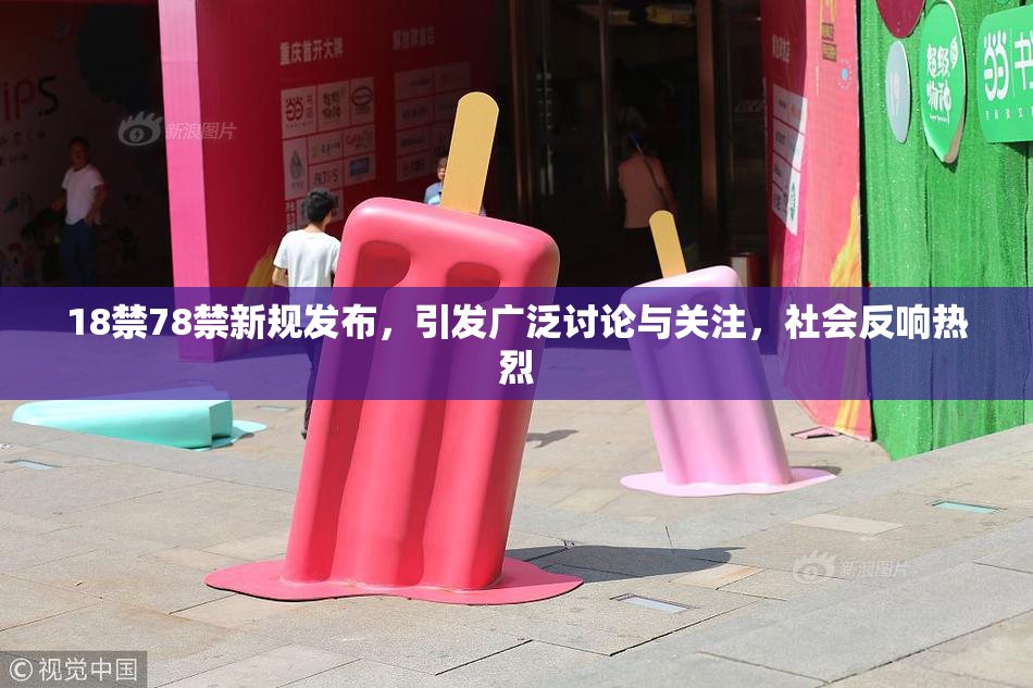 18禁78禁新规发布，引发广泛讨论与关注，社会反响热烈