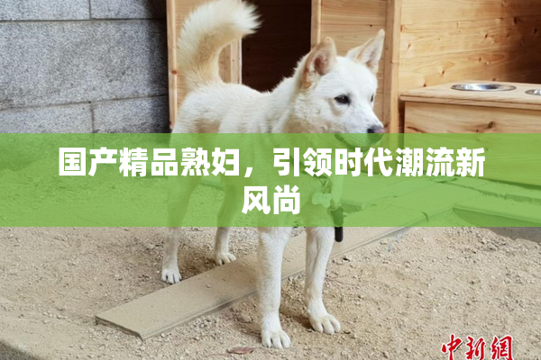 国产精品熟妇，引领时代潮流新风尚