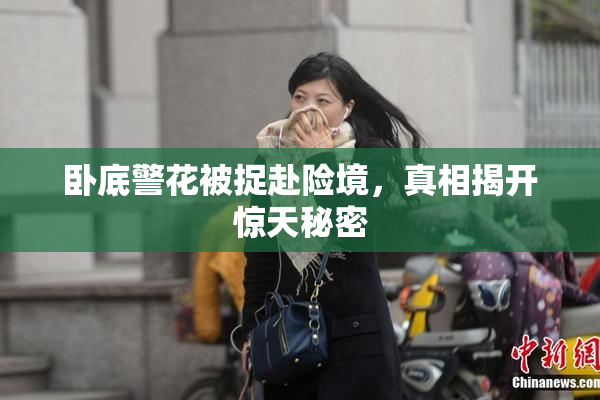 卧底警花被捉赴险境，真相揭开惊天秘密