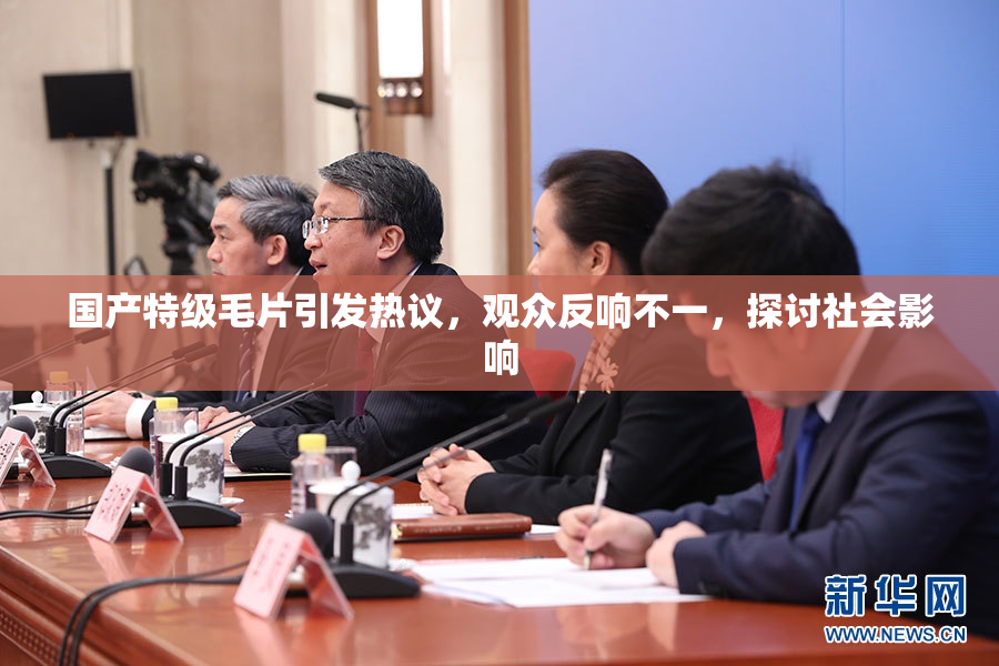 国产特级毛片引发热议，观众反响不一，探讨社会影响