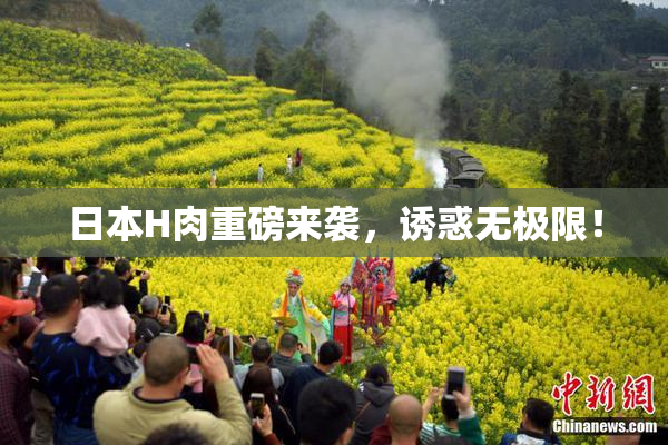 日本H肉重磅来袭，诱惑无极限！