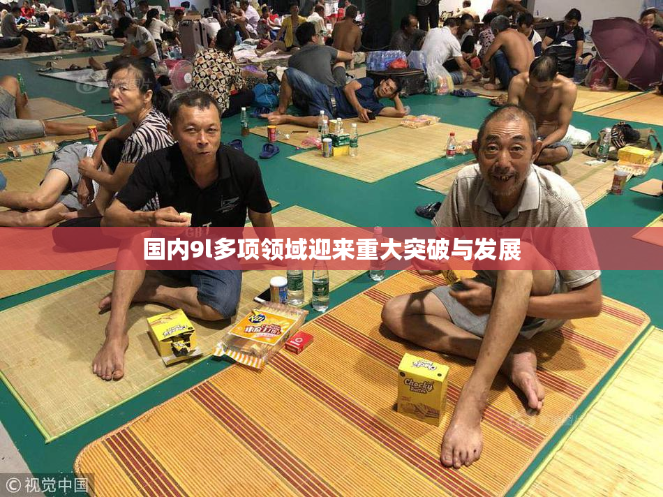 国内9l多项领域迎来重大突破与发展