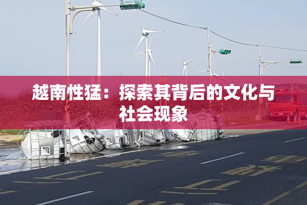越南性猛：探索其背后的文化与社会现象