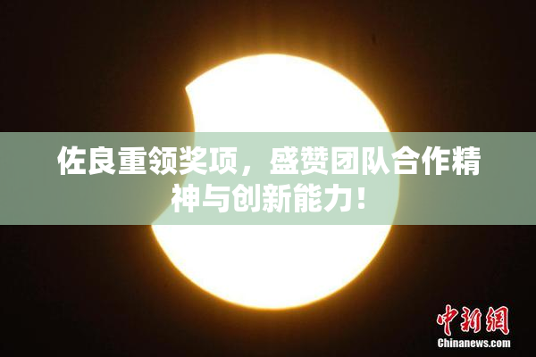 佐良重领奖项，盛赞团队合作精神与创新能力！