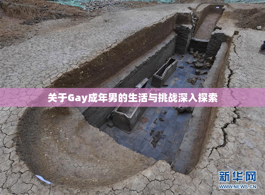关于Gay成年男的生活与挑战深入探索