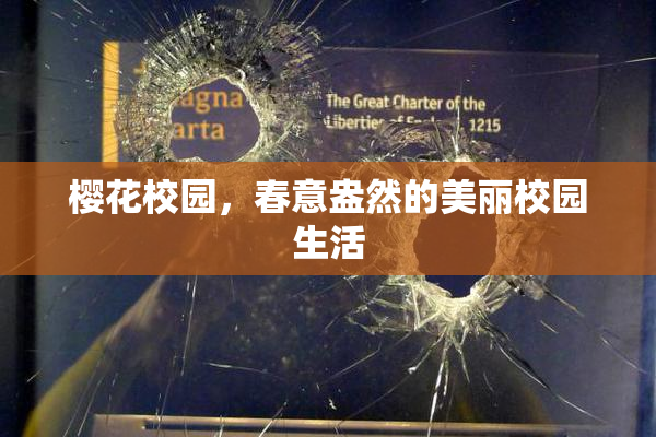 樱花校园，春意盎然的美丽校园生活