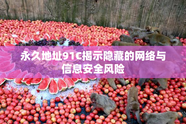 永久地址91C揭示隐藏的网络与信息安全风险