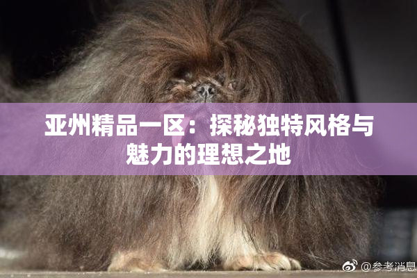 亚州精品一区：探秘独特风格与魅力的理想之地