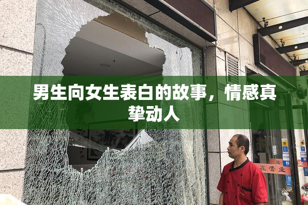 男生向女生表白的故事，情感真挚动人