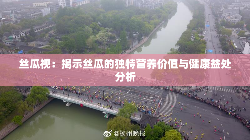 丝瓜视：揭示丝瓜的独特营养价值与健康益处分析