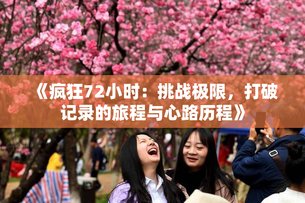 《疯狂72小时：挑战极限，打破记录的旅程与心路历程》
