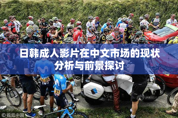 日韩成人影片在中文市场的现状分析与前景探讨