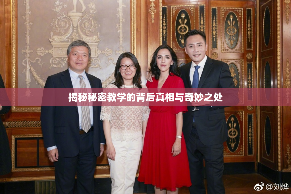 揭秘秘密教学的背后真相与奇妙之处