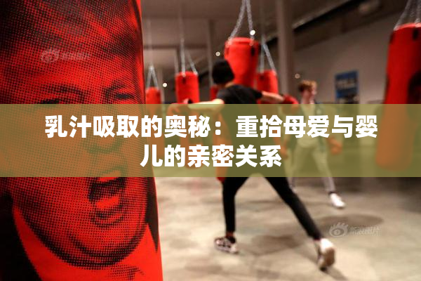乳汁吸取的奥秘：重拾母爱与婴儿的亲密关系