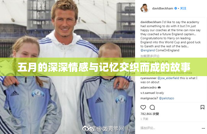 五月的深深情感与记忆交织而成的故事