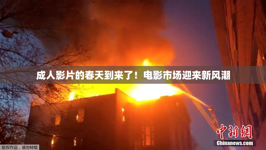 成人影片的春天到来了！电影市场迎来新风潮