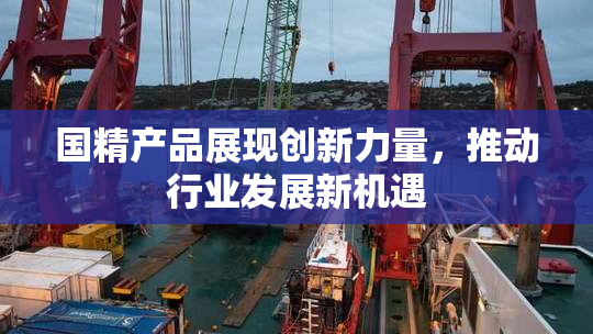 国精产品展现创新力量，推动行业发展新机遇