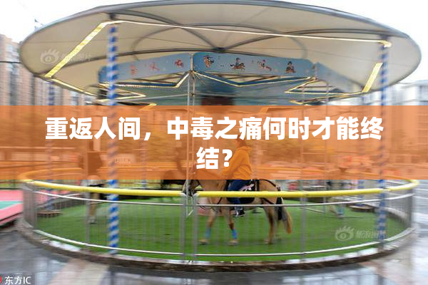 重返人间，中毒之痛何时才能终结？