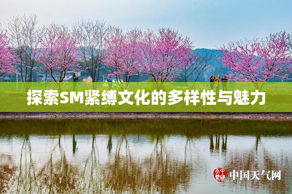 探索SM紧缚文化的多样性与魅力
