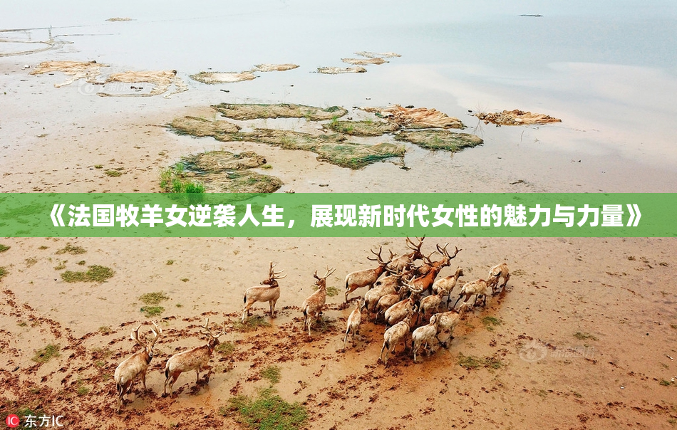 《法国牧羊女逆袭人生，展现新时代女性的魅力与力量》