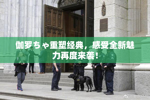伽罗ちゃ重塑经典，感受全新魅力再度来袭！