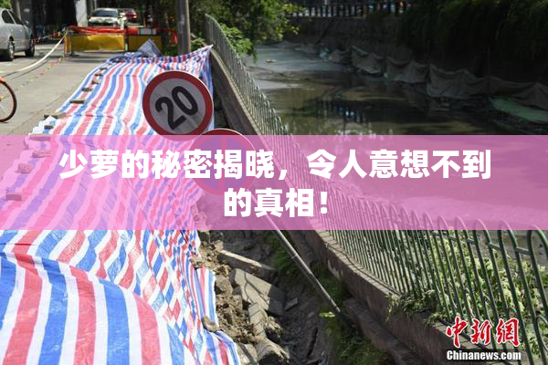 少萝的秘密揭晓，令人意想不到的真相！