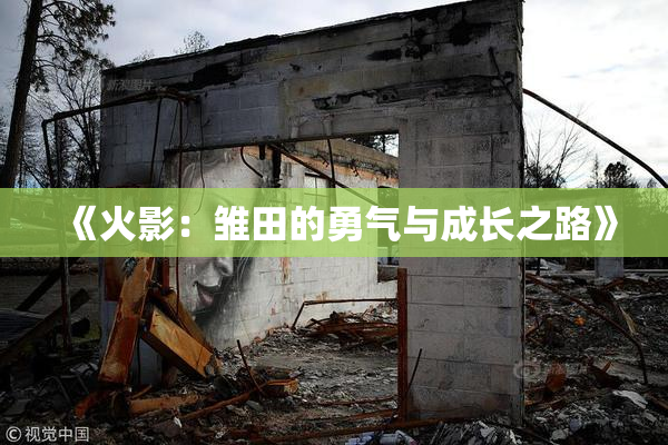 《火影：雏田的勇气与成长之路》