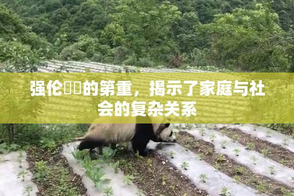 强伦妺妺的第重，揭示了家庭与社会的复杂关系