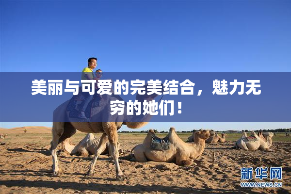 美丽与可爱的完美结合，魅力无穷的她们！