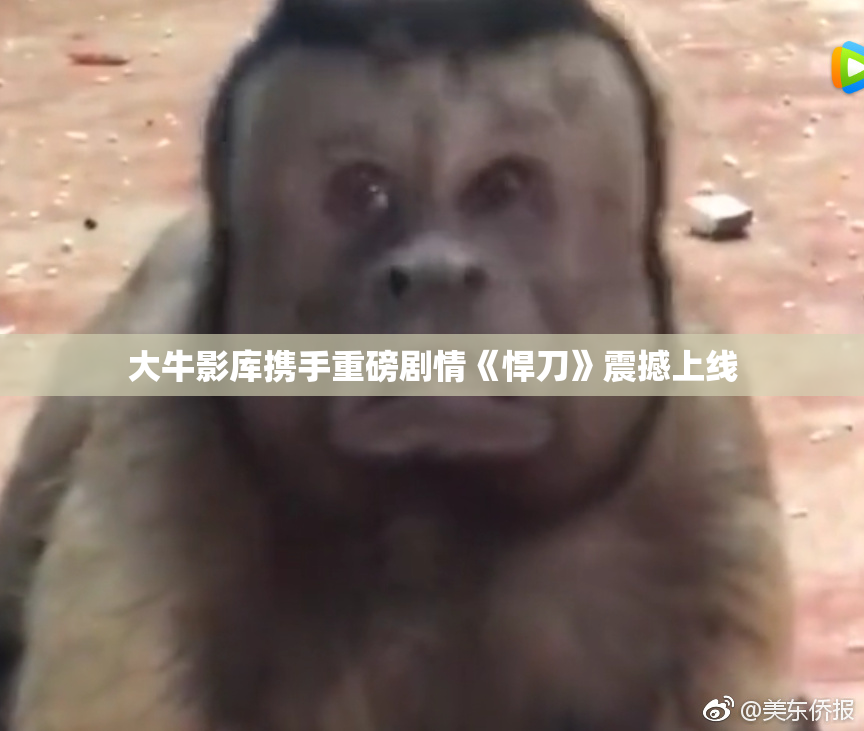 大牛影库携手重磅剧情《悍刀》震撼上线