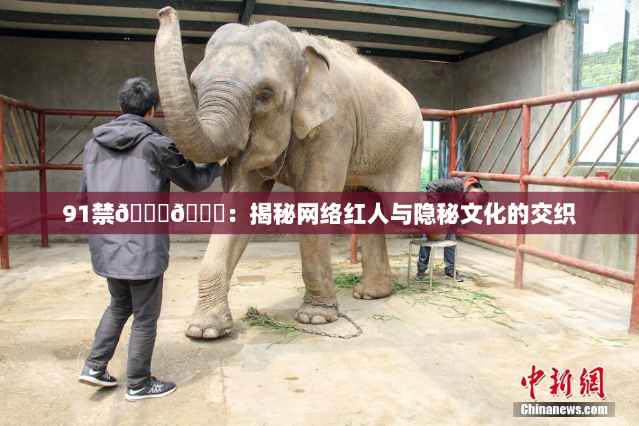 91禁🍆🍑：揭秘网络红人与隐秘文化的交织