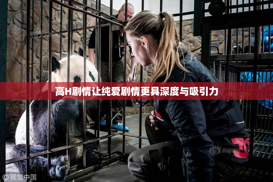 高H剧情让纯爱剧情更具深度与吸引力