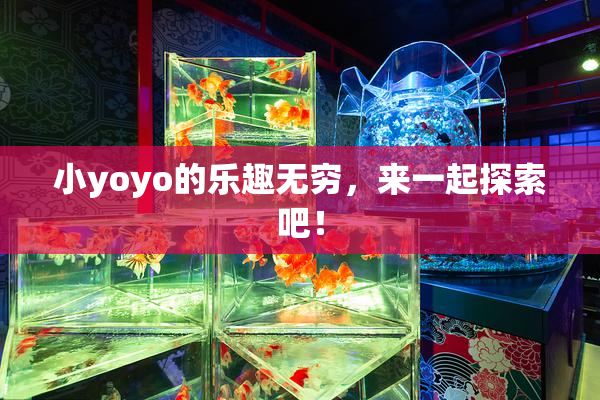 小yoyo的乐趣无穷，来一起探索吧！
