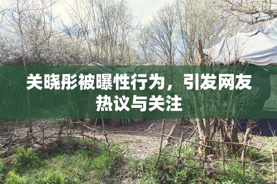 关晓彤被曝性行为，引发网友热议与关注