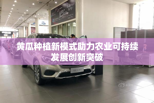 黄瓜种植新模式助力农业可持续发展创新突破