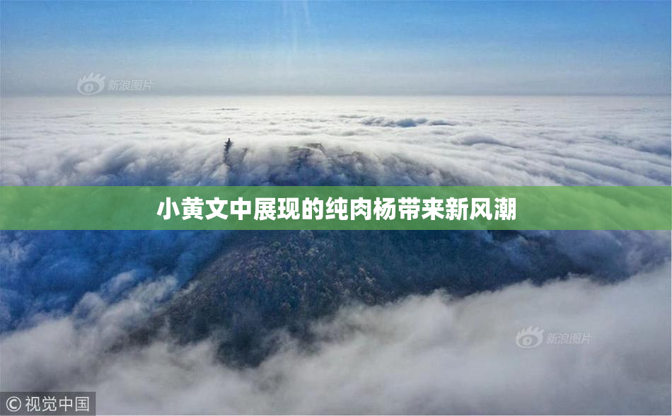 小黄文中展现的纯肉杨带来新风潮