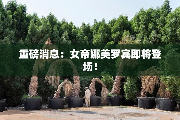 重磅消息：女帝娜美罗宾即将登场！