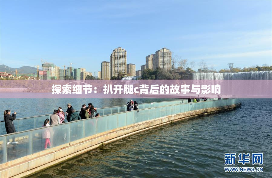 探索细节：扒开腿c背后的故事与影响