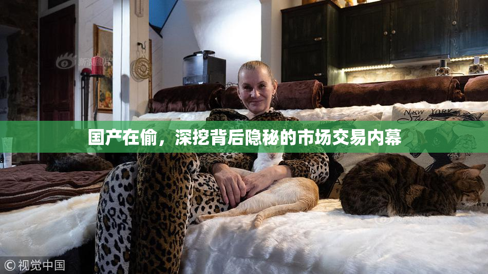 国产在偷，深挖背后隐秘的市场交易内幕