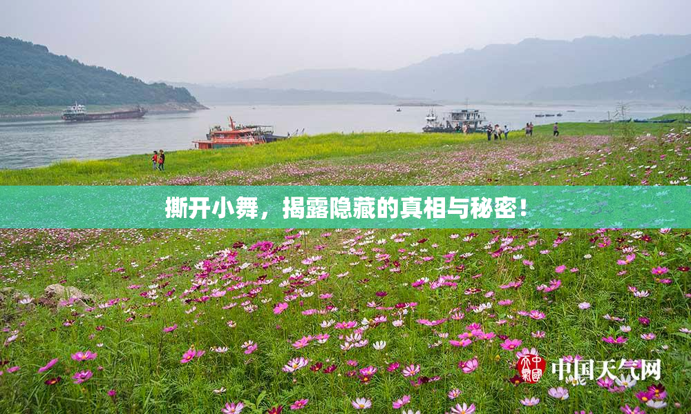 撕开小舞，揭露隐藏的真相与秘密！