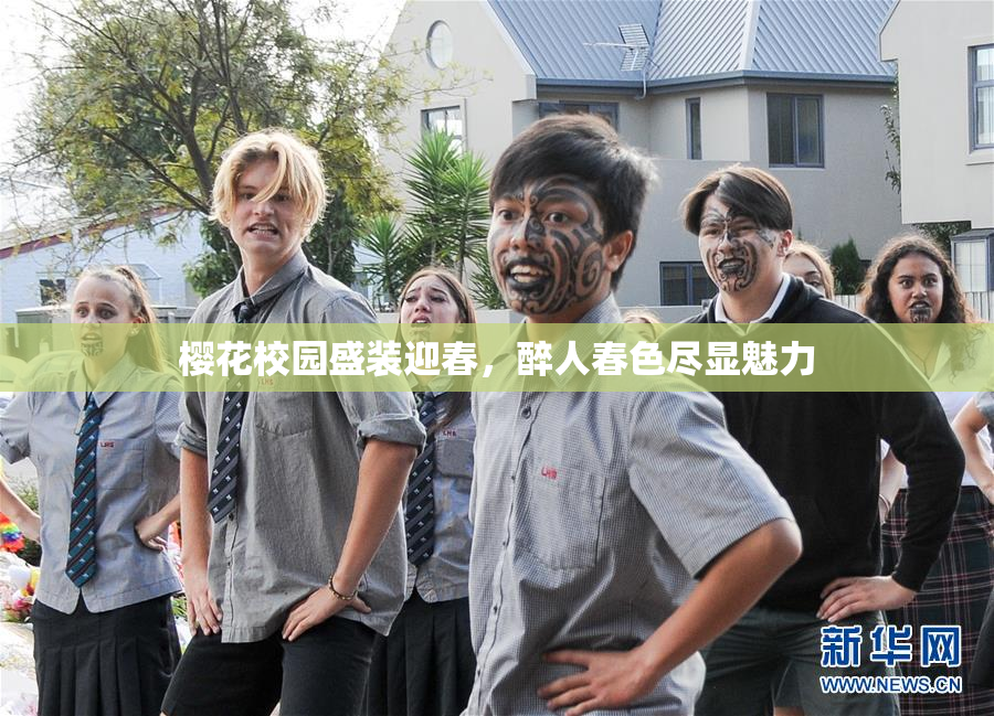樱花校园盛装迎春，醉人春色尽显魅力
