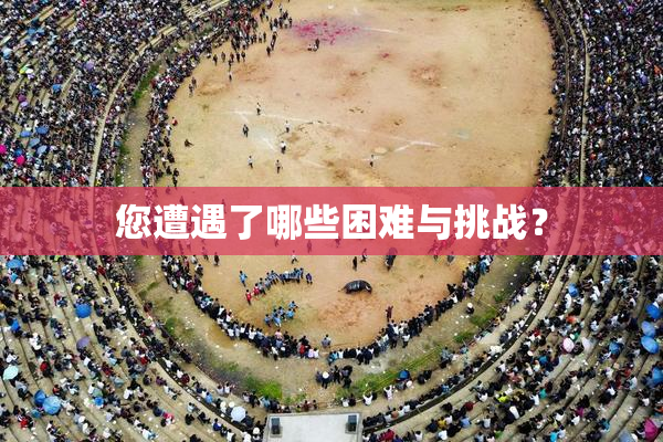 您遭遇了哪些困难与挑战？