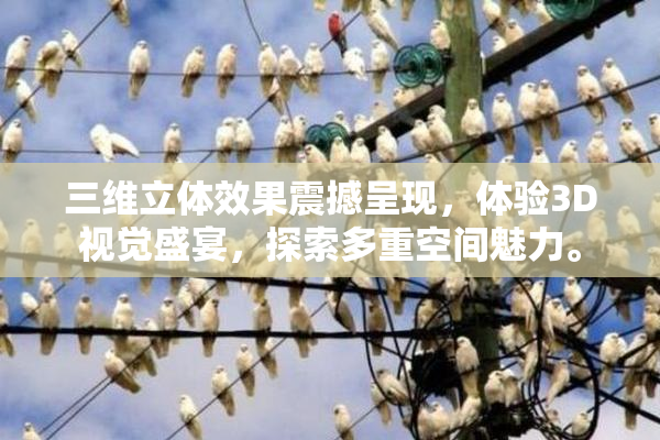 三维立体效果震撼呈现，体验3D视觉盛宴，探索多重空间魅力。