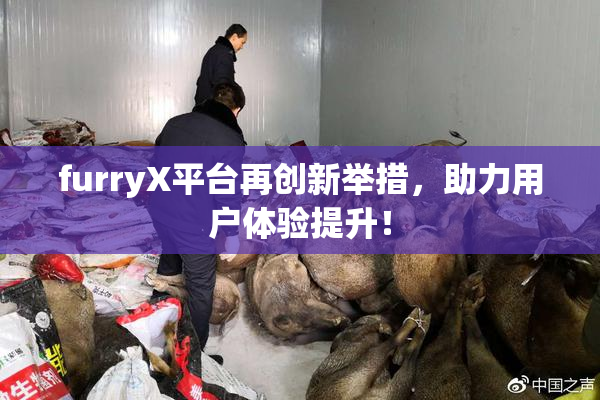 furryX平台再创新举措，助力用户体验提升！