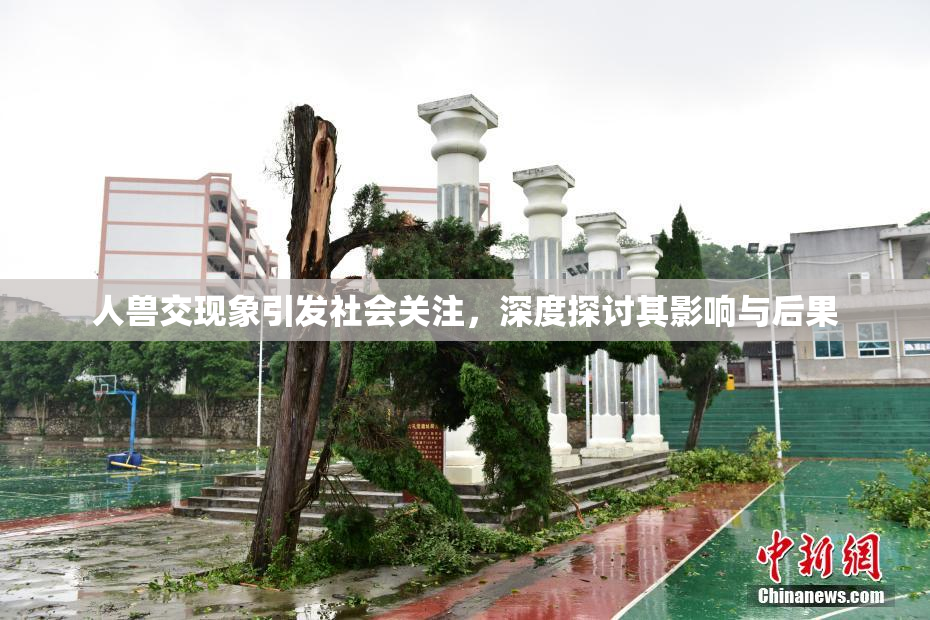 人兽交现象引发社会关注，深度探讨其影响与后果