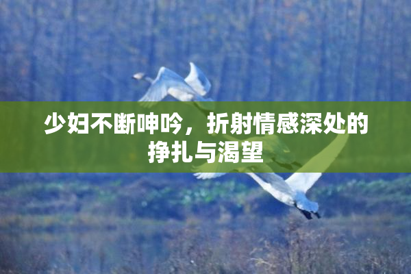 少妇不断呻吟，折射情感深处的挣扎与渴望