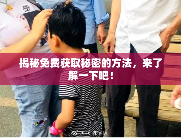 揭秘免费获取秘密的方法，来了解一下吧！