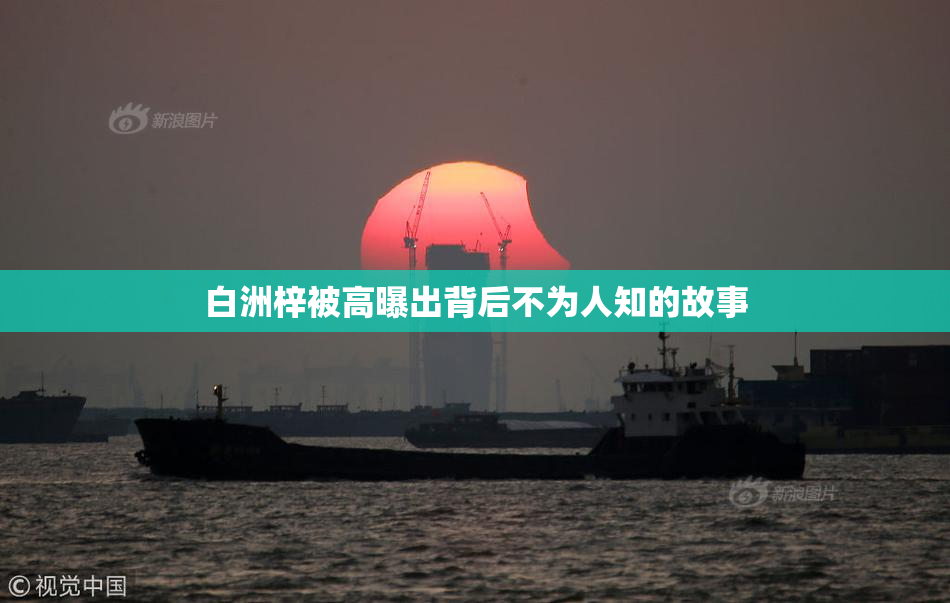 白洲梓被高曝出背后不为人知的故事